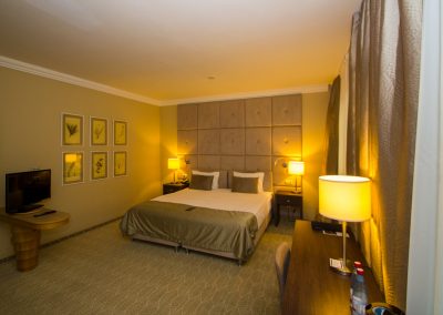 Studio plus однокомнатный двухместный (корпус АБ) 4 в санатории Машук Aква Терм в городе Железноводске - фотография