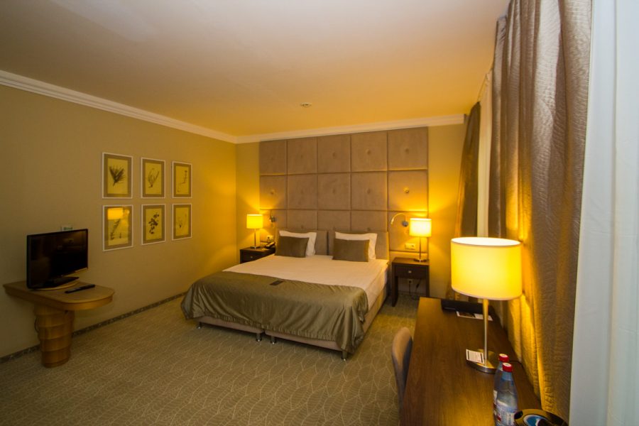 Studio plus однокомнатный двухместный (корпус АБ) 4 в санатории Машук Aква Терм в городе Железноводске - фотография