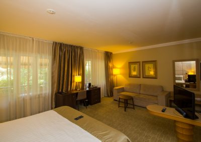 Studio plus однокомнатный двухместный (корпус АБ) 4 в санатории Машук Aква Терм в городе Железноводске - фотография