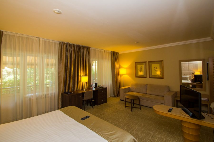 Studio plus однокомнатный двухместный (корпус АБ) 4 в санатории Машук Aква Терм в городе Железноводске - фотография