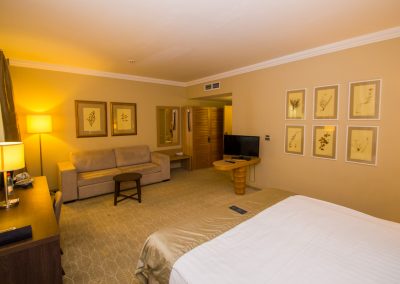 Studio plus однокомнатный двухместный (корпус АБ) 4 в санатории Машук Aква Терм в городе Железноводске - фотография