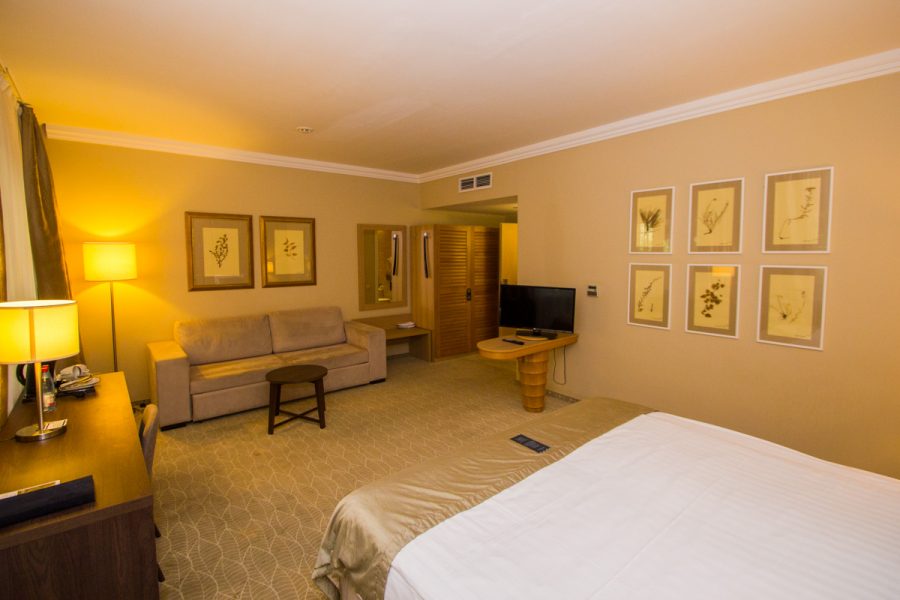 Studio plus однокомнатный двухместный (корпус АБ) 4 в санатории Машук Aква Терм в городе Железноводске - фотография