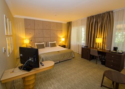 Studio plus однокомнатный двухместный (корпус АБ) 4 в санатории Машук Aква Терм в городе Железноводске - фотография