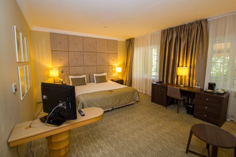 Studio plus однокомнатный двухместный (корпус АБ) 4 в санатории Машук Aква Терм в городе Железноводске - фотография