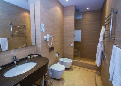 Studio plus однокомнатный двухместный (корпус АБ) 4 в санатории Машук Aква Терм в городе Железноводске - фотография