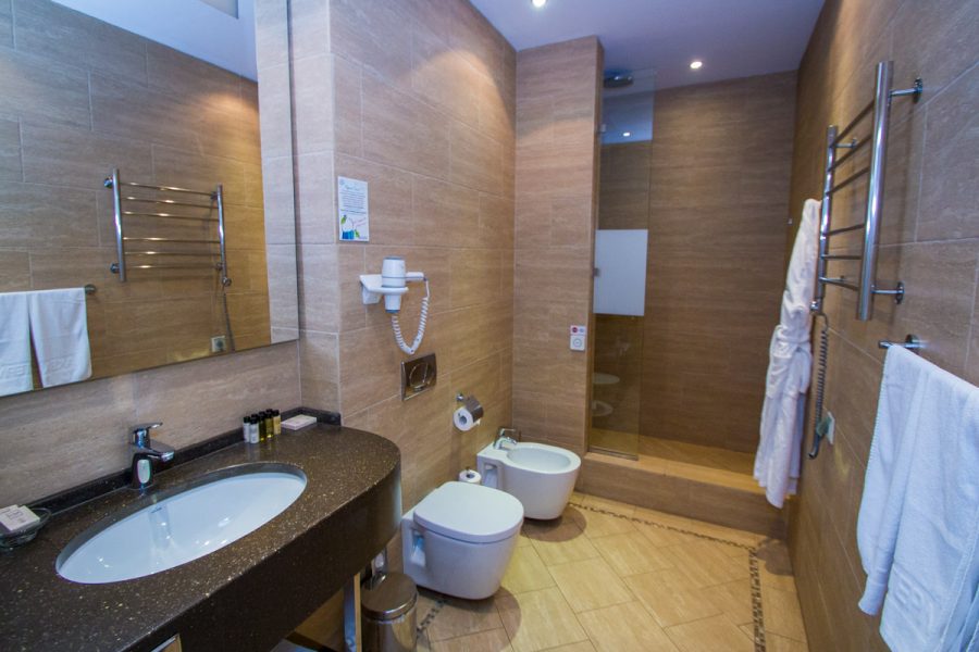 Studio plus однокомнатный двухместный (корпус АБ) 4 в санатории Машук Aква Терм в городе Железноводске - фотография