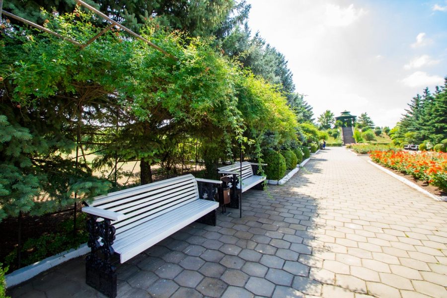 Территория в санатории Машук Aква Терм в городе Железноводске - фотография