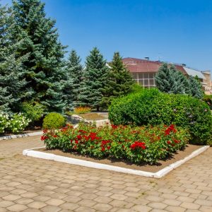 Территория в санатории Машук Aква Терм в городе Железноводске - фотография