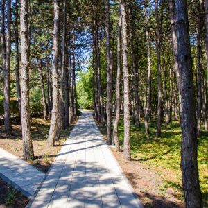 Территория в санатории Машук Aква Терм в городе Железноводске - фотография