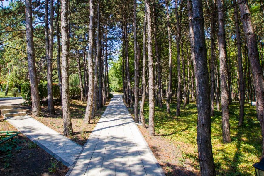 Территория в санатории Машук Aква Терм в городе Железноводске - фотография