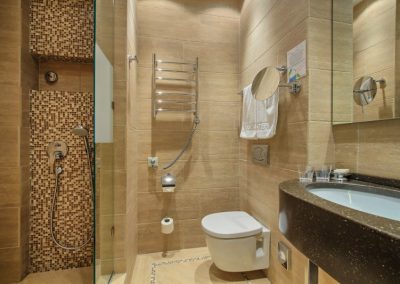 Double plus однокомнатный двухместный (корпус АБ) 4 в санатории Машук Aква Терм в городе Железноводске - фотография