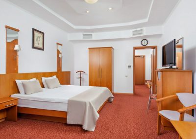 Junior Suite 1 комнатный 2 местный (корпус С) 4 в санатории Машук Aква Терм в городе Железноводске - фотография