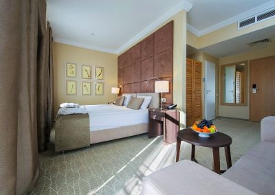 Studio однокомнатный двухместный (корпус АБ) 4 в санатории Машук Aква Терм в городе Железноводске - фотография