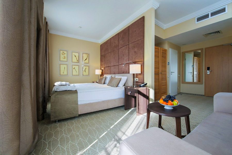 Studio однокомнатный двухместный (корпус АБ) 4 в санатории Машук Aква Терм в городе Железноводске - фотография