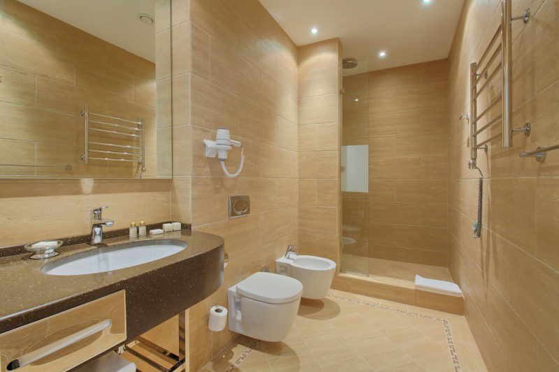 Studio plus однокомнатный двухместный (корпус АБ) 4 в санатории Машук Aква Терм в городе Железноводске - фотография