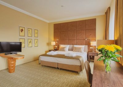 Studio plus однокомнатный двухместный (корпус АБ) 4 в санатории Машук Aква Терм в городе Железноводске - фотография