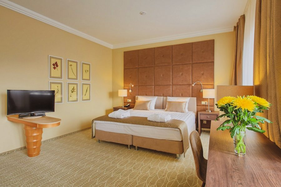 Studio plus однокомнатный двухместный (корпус АБ) 4 в санатории Машук Aква Терм в городе Железноводске - фотография