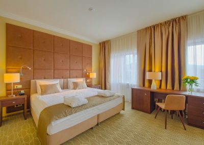 Studio plus однокомнатный двухместный (корпус АБ) 4 в санатории Машук Aква Терм в городе Железноводске - фотография