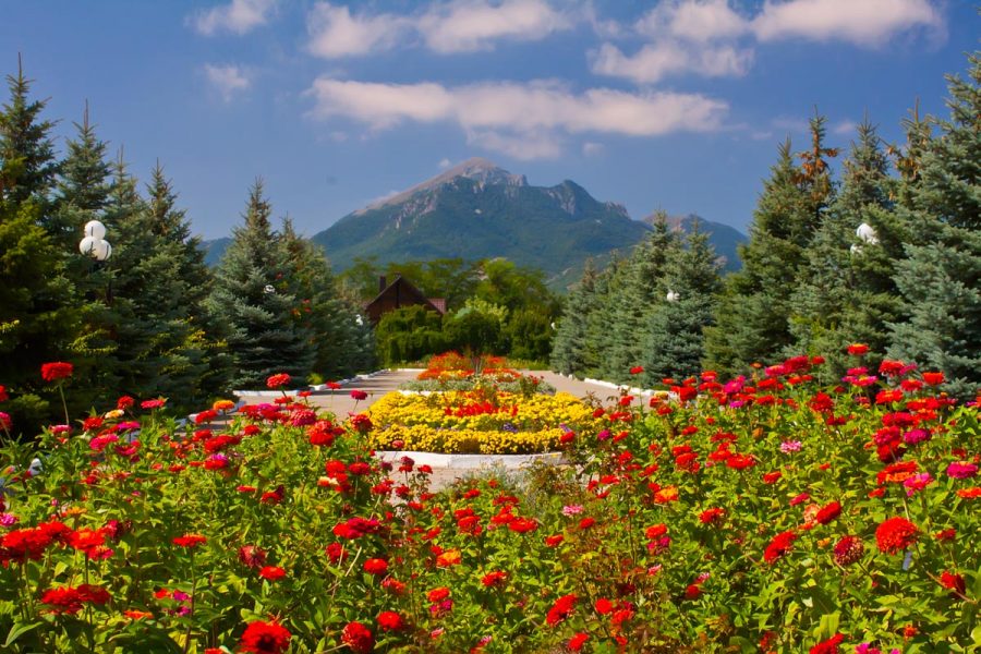 Территория в санатории Машук Aква Терм в городе Железноводске - фотография