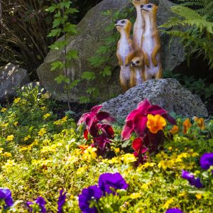 Территория в санатории Машук Aква Терм в городе Железноводске - фотография