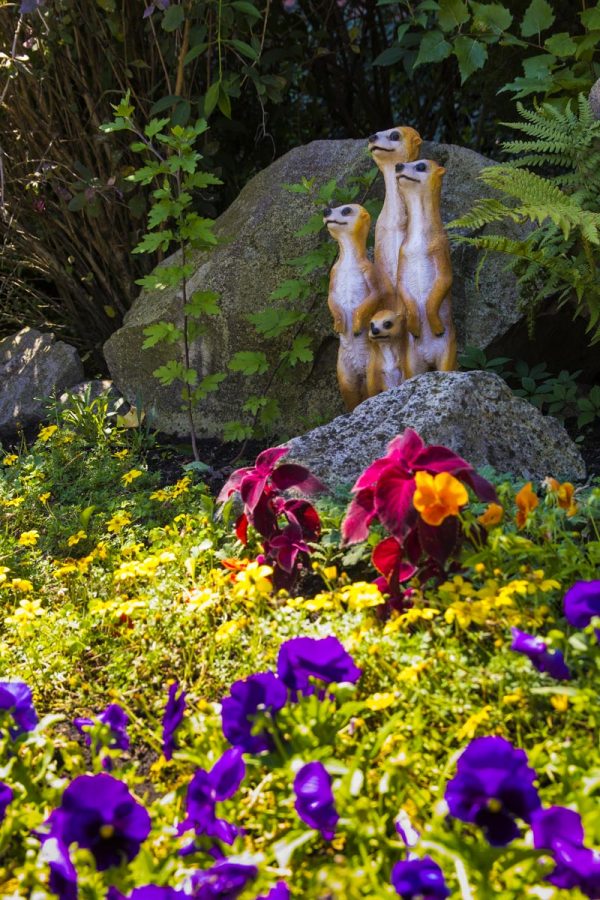 Территория в санатории Машук Aква Терм в городе Железноводске - фотография