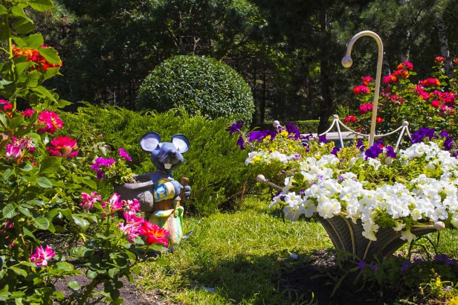 Территория в санатории Машук Aква Терм в городе Железноводске - фотография