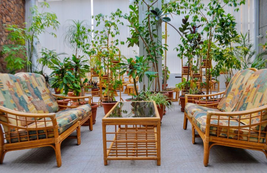 Зимний сад в санатории Машук Aква Терм в городе Железноводске - фотография