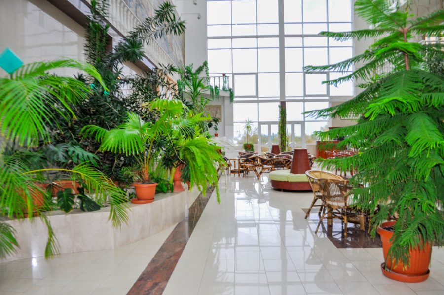 Зимний сад в санатории Машук Aква Терм в городе Железноводске - фотография