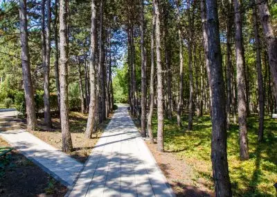 Территория в санатории Машук Aква Терм в городе Железноводске - фотография