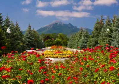 Территория в санатории Машук Aква Терм в городе Железноводске - фотография